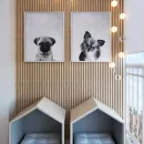 Домик для животных